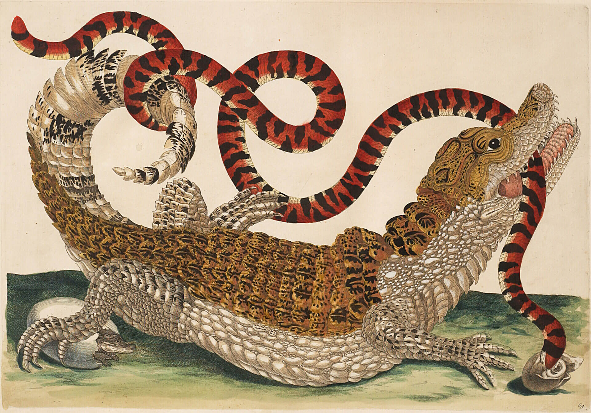 Traditional Chinese art of a crocodile and snake